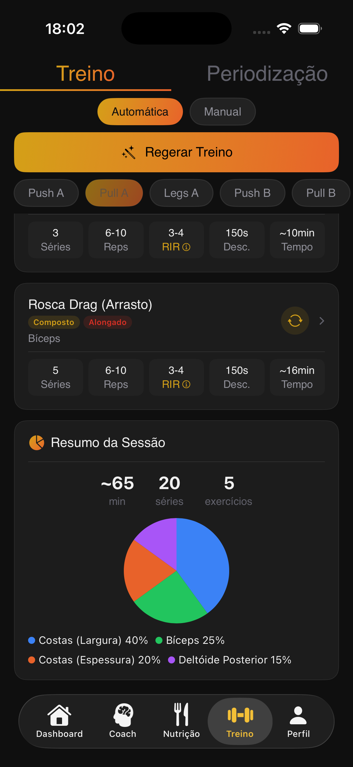 Treino — resumo do mesociclo